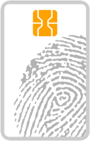 shapeimage_2